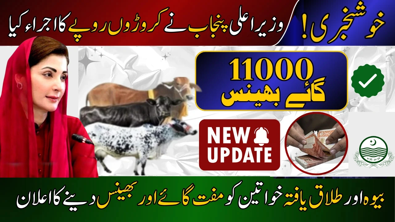 CM Punjab Program 11,000 Free Cows and Buffaloes for Poor Widowed Women in 2025