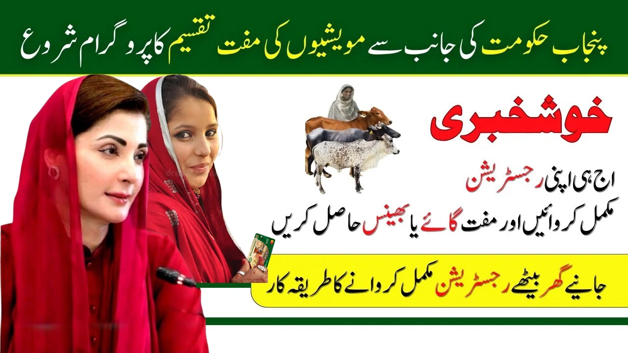 Punjab Government Launches Livestock Distribution Program for Rural Women