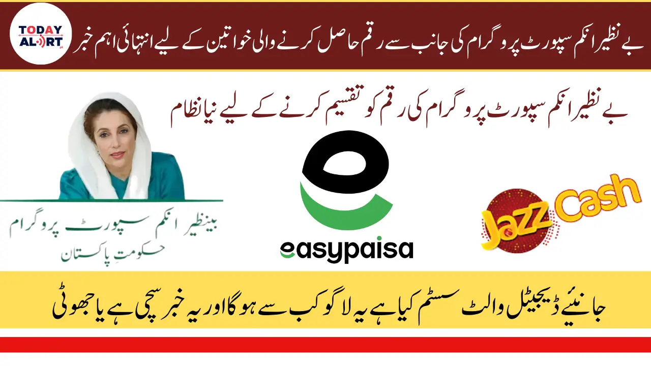 BISP 8171 Digital Wallet System for 13500 Payment Withdrawal – April 2025