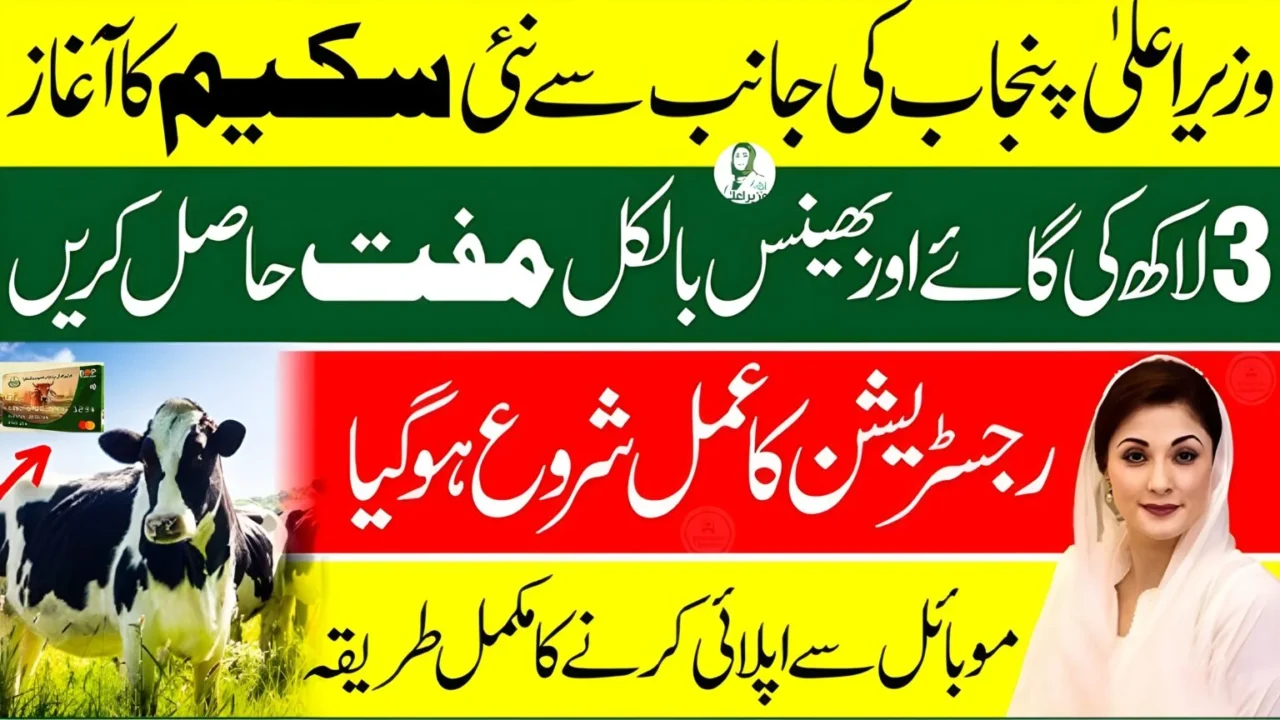 Punjab Free Livestock Scheme 2025 – Get Free Goats, Cows & Buffaloes | Apply Before April 30